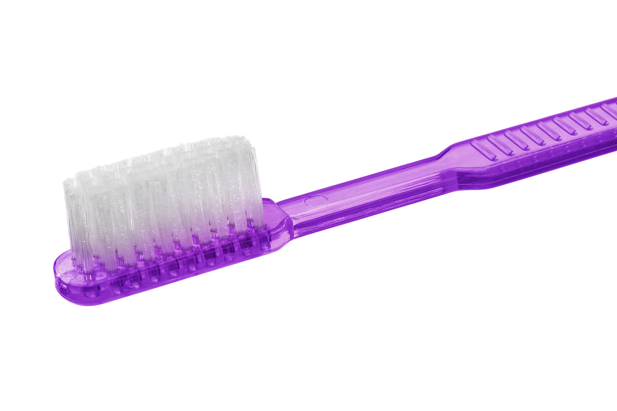 Einmalzahnbürste mit Paste Top Brush Lila