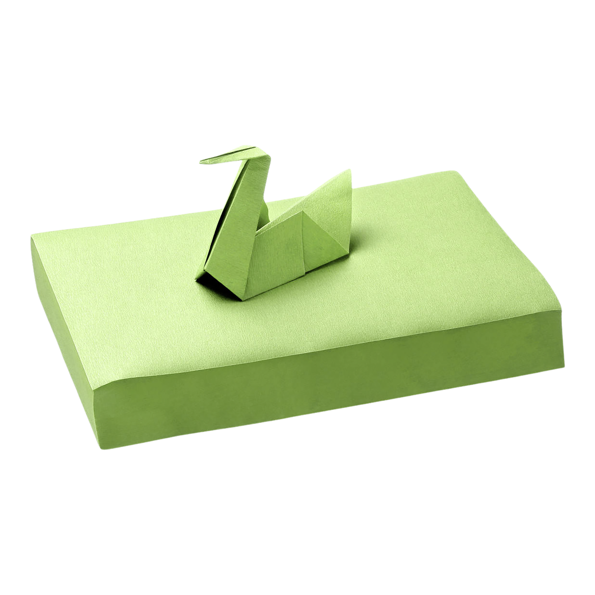 Papier filtre du plateau supérieur Akenta - vert frais